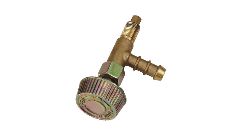 ZF21