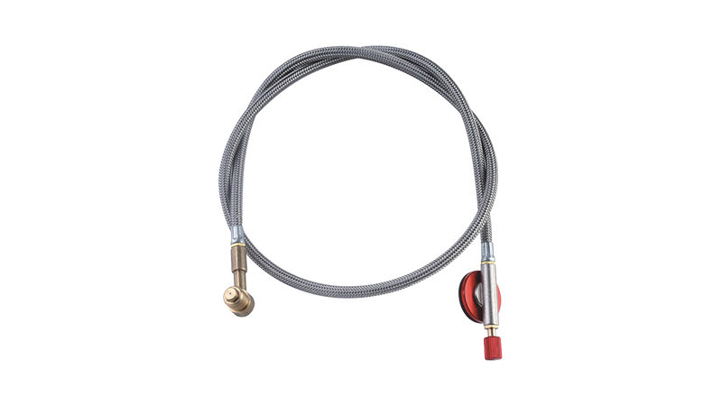 ZF33